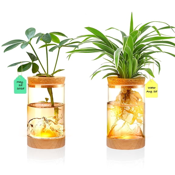 2Pcs Plant Propagation Station with Luminous Wooden Base, Mountain-Shaped Hydroponic Glass Vases, Indoor Desktop Terrarium Jars
