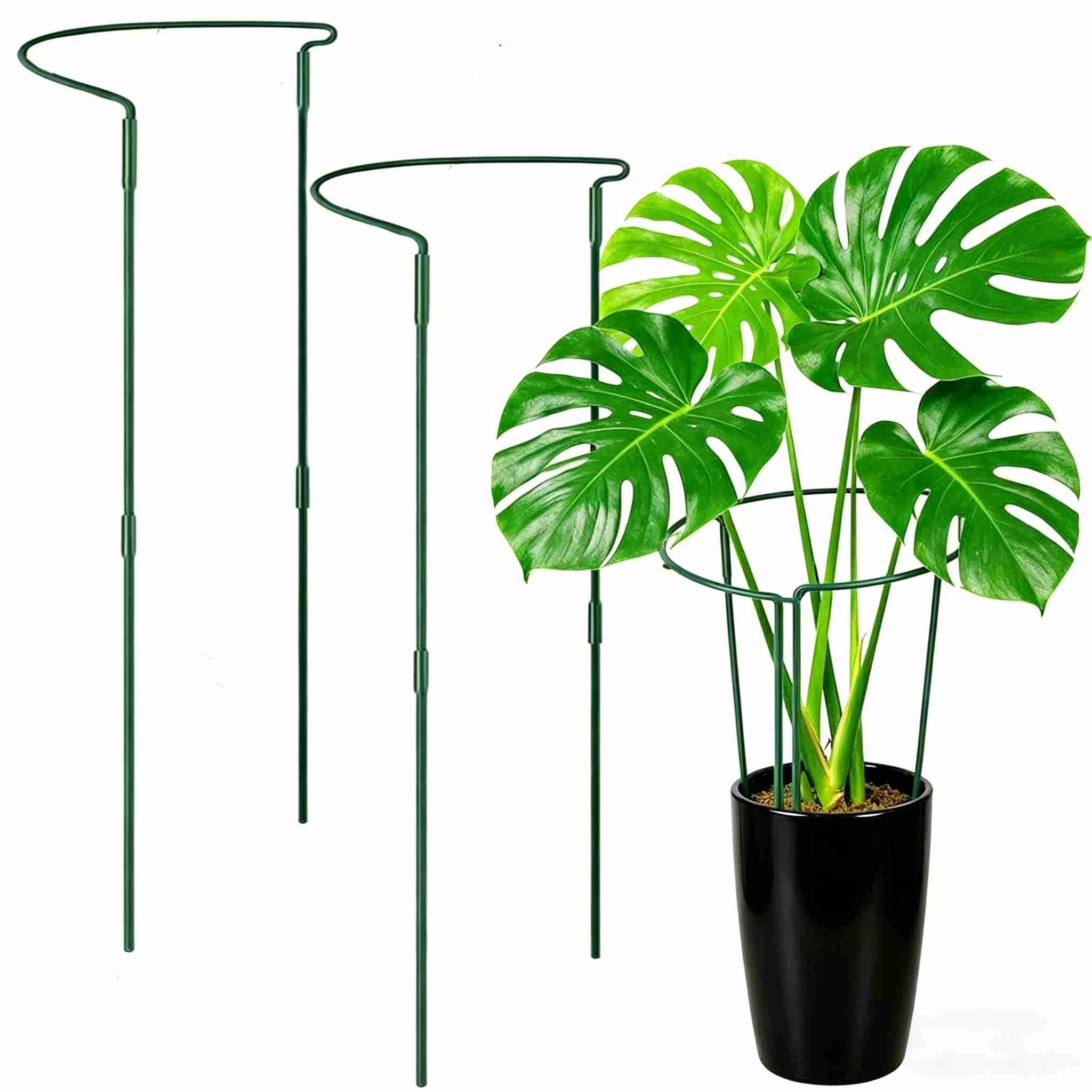 2Pcs Plant Stakes, Peony Cages and Supports, Garden Stakes Plant Support Cage, Plant Support Ring Border for Peony Tomato, Hydrangea, Flower Indoor Outdoor (23.62" W x 10" H)