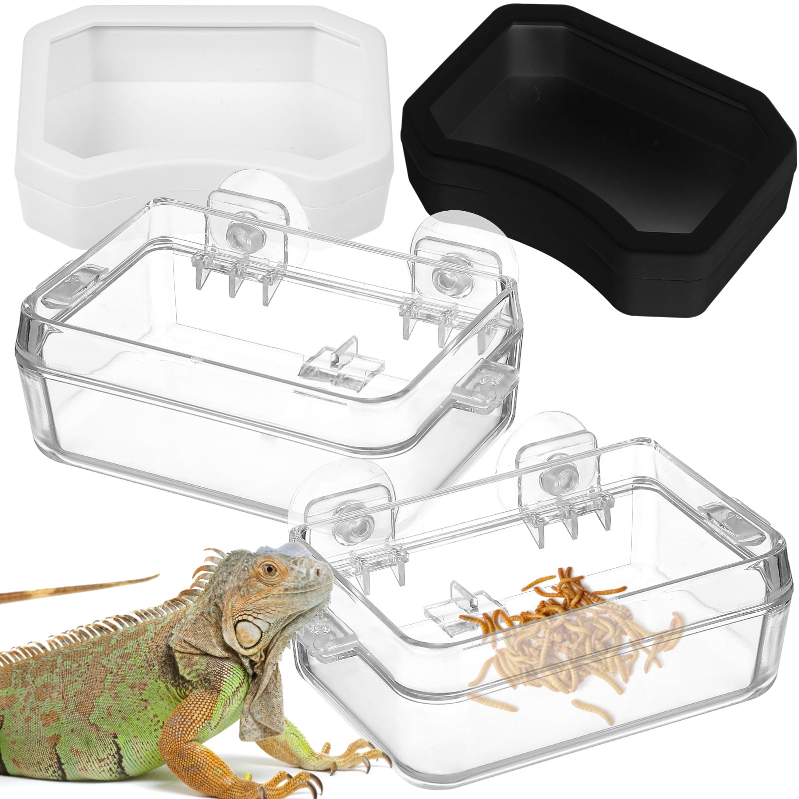 2pcs Reptile Feeder Cup Feeding Dish Escape Proof Bowl With 2 Water 