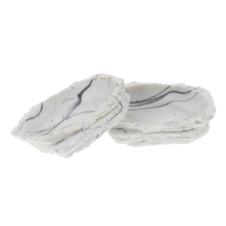 2Pcs Reptile Resin Food Dish Water Miniature for Tortoise Gecko Chameleon , 02