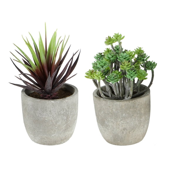 Hemobllo 2Pcs Decorative Succulent with Pots Plastic Realistic Dark Aeonium Green for Office Family