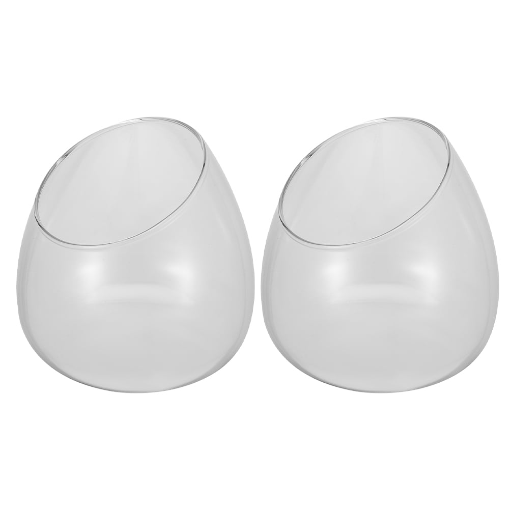 SWETRACE Glass Terrarium Bowl Clear Glass 2Pcs 4.72x4.72x4.72in ...