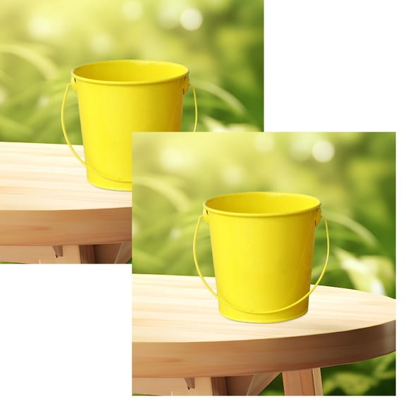 2Pcs Small Metal Bucket With Handle – Durable Mini Pail For Home Garden And Crafts Home Textile Storage 5.1"