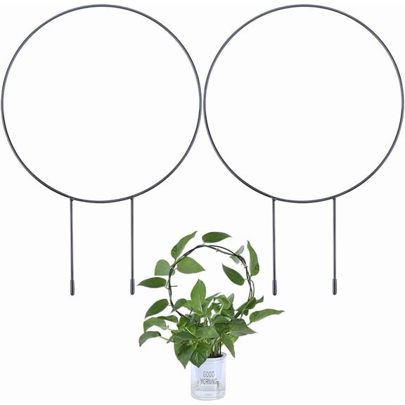2Pcs Small Metal Plant Trellises Garden Trellis for Indoor and Outdoor Garden Potted Plant Plants Climbing Green Radish Ivy Chlorophytum Vine Flower Plant Support Black 13.079.05 Inch Black DIY