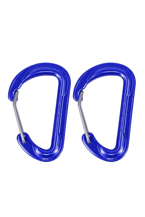 2Pcs Spring Snaps Hook Small D Shaped Clip Hook Backpacks Climbing Carabiner Keychains Clip