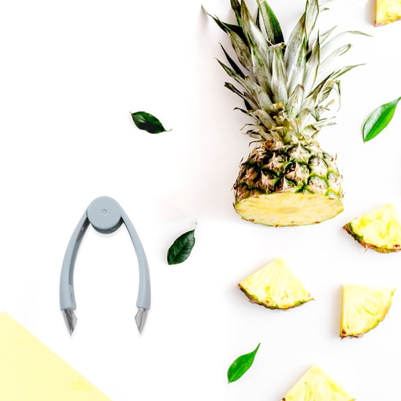 LITINKIMI 2Pcs Pineapple Peeler Stainless Steel Fruit Cutter Ideal for Various Fruits