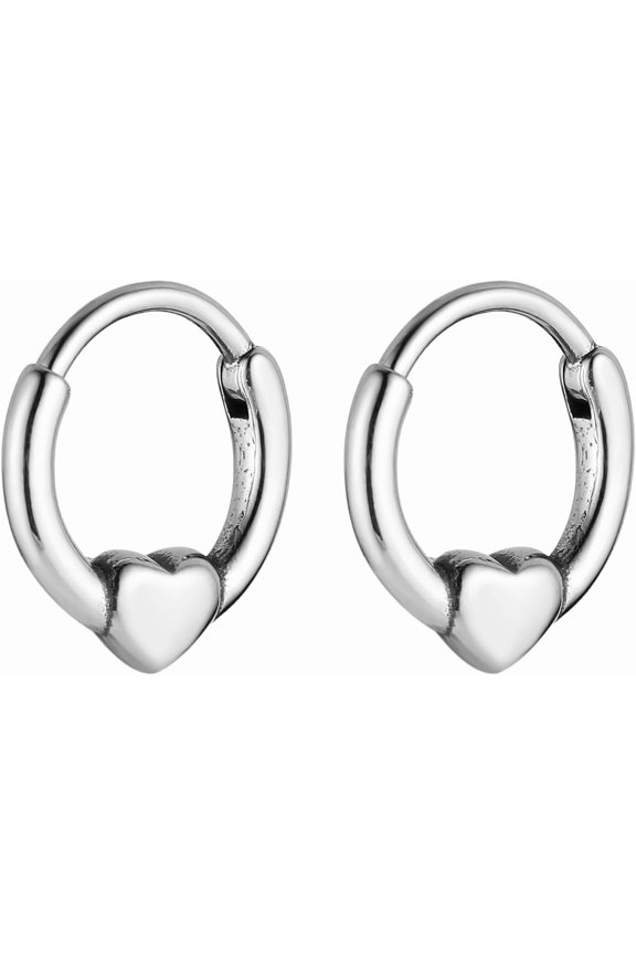 2Pcs Stainless Steel Nose Rings Hoops for Women Drop Septum Rings Hoop Cartilage Clicker Earrings