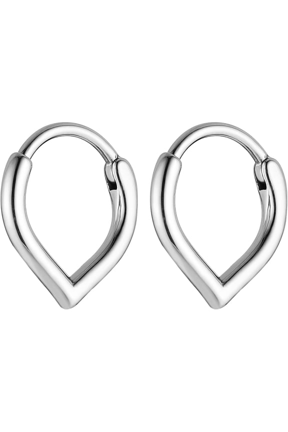 2Pcs Stainless Steel Nose Rings Hoops for Women Drop Septum Rings Hoop Cartilage Clicker Earrings