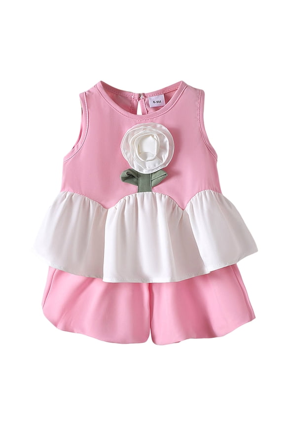 2Pcs Summer Outfits Set for Toddler Girls – Cute Flower Short Sleeve T-Shirt and Pants (Gift) Summer 2Pcs Gift Outfits Set Girls Summer Set 1-3 Years,2-3 Years