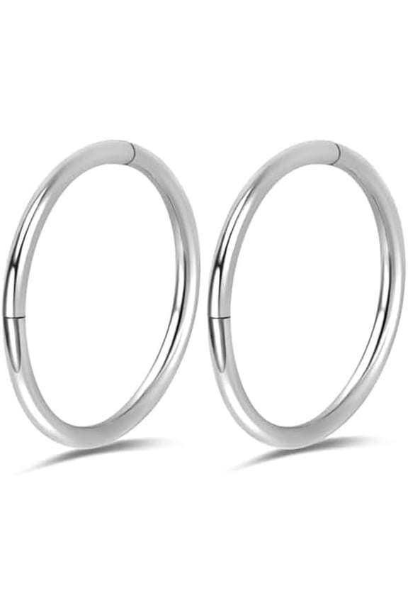 2Pcs Titanium Hinged Piercing Rings Hoop 20G 18G 16G Nose Ring Septum Segment Ring Clicker Cartilage Helix Tragus Conch Daith Rook Hoop Earrings,