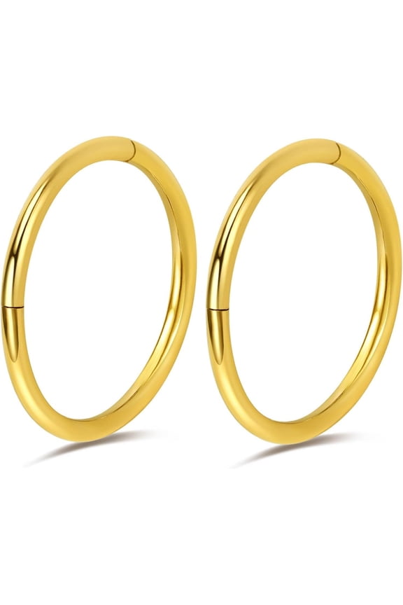 2Pcs Titanium Nose Rings 20G 18G 16G Nose Rings Hoops Clicker Hinged Segment Cartilage Helix Tragus Conch Daith Piercing Earring, 5mm 12mm Silver-Gold-Rose Gold-Black Septum Ring Rook[a805]