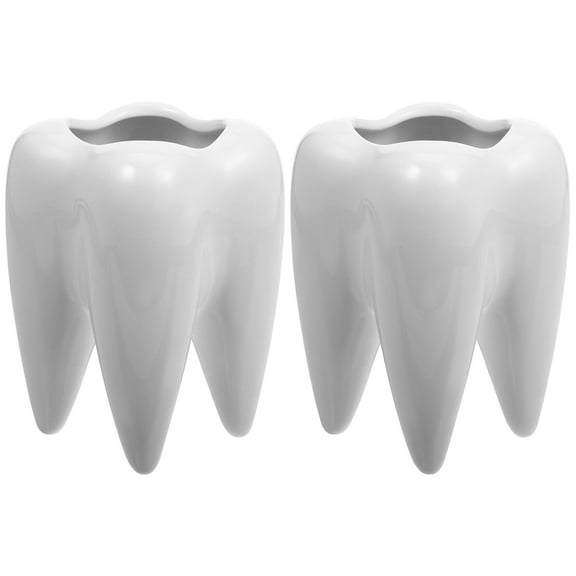 2Pcs Tooth Shaped Ceramic Succulent Cactus Flower Pot Home Tabletop Decoration