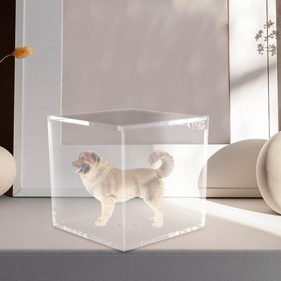 2Pcs Transparent Figurine Display Case with Spacious Design for DIY Artwork and Collection Storage