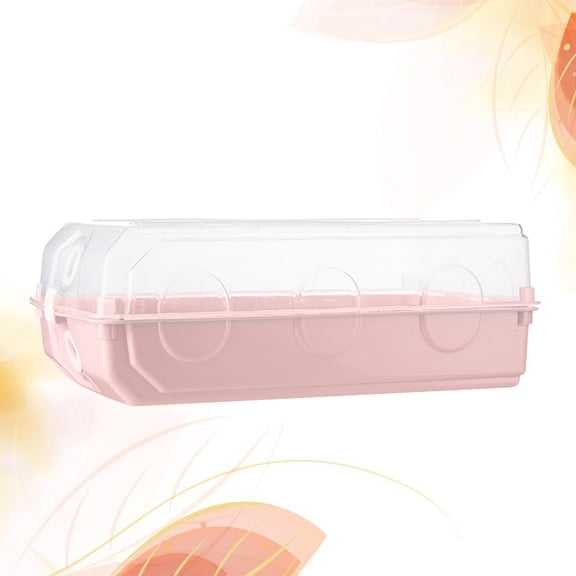 2Pcs Transparent Pink Shoe Container with Flip Lid for Home Shoe Organization