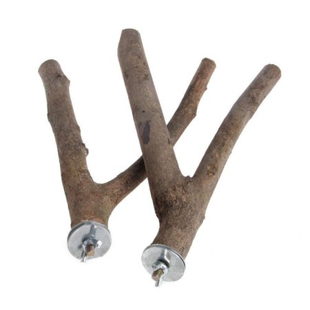 2Pcs Useful Toys Stick Chew Bite Toy Wood Fork Stand Cage Branch Perches Bird Stand Tree Branch Parrot Holder Tree Branch Stand Rack