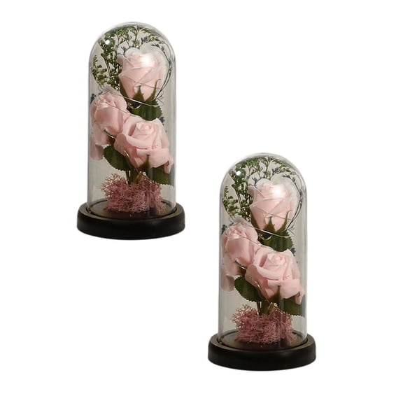 2Pcs Valentines Day Flowers Roses Gifts For Her,Forever Real Preserved Roses In Glass Dome,Valentines Day Anniversary Birthday Gifts For Wife Girlfriend Women Mom Best Friend Her/Pink Rose