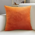 thumbnail image 1 of 2Pcs Velvet Throw Pillow Covers 18x18 Inch, Soft Decorative Pillowcases,Modern Home Decor for Sofa, Couch, Bed, Chair, 1 of 7
