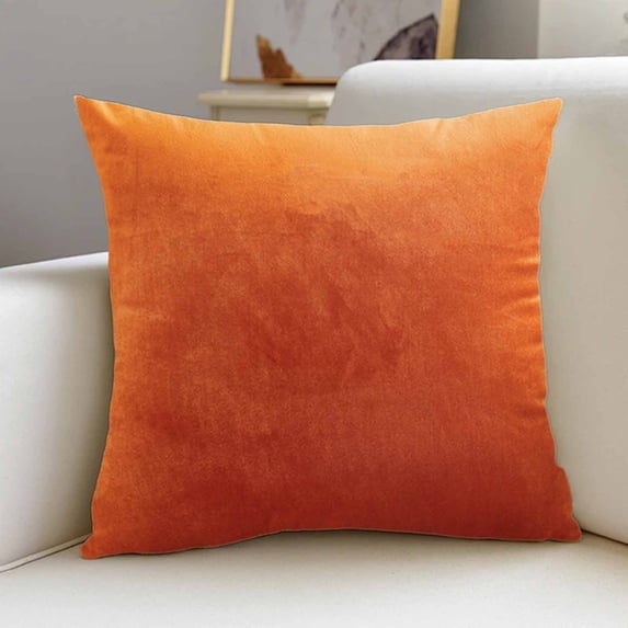 2Pcs Velvet Throw Pillow Covers 18x18 Inch, Soft Decorative Pillowcases,Modern Home Decor for Sofa, Couch, Bed, Chair