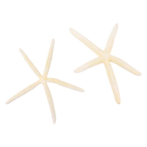 2Pcs White Natural Sea Star Decor Prop for Wedding Beach Party Table Setting