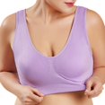 thumbnail image 1 of 2Pcs Women Plus Size Sport Bra Double Layer Cotton Underwear Seamless Elastic Bralette (Purple), 1 of 13
