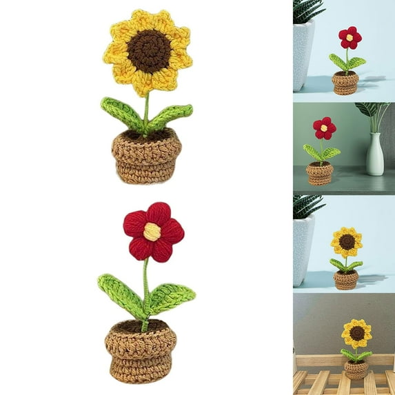 2Pieces Handmade Crochet for Beginner Crocheting Craft for Adults Includes Yarn, Hook Office Car Interior Decoration Hand Knitting A