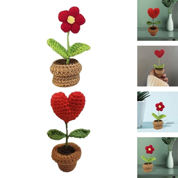 2Pieces Handmade DIY Beginner Crochet Small Potted Flower Crochet Craft Set Includes Yarn, Hook, Accessories Crochet Material Package Style D