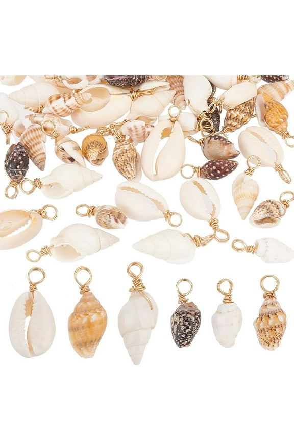 2Set 60Pcs 6 Styles Natural Mixed Shell Pendants Shell Shape Charms with Light Gold Tone Brass Loops Mixed Color Hole: 3mm 10pcs/style 16~27x4~13x4~9mm