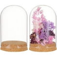 thumbnail image 1 of 2Set Glass Display Dome with Cork Base 3.14x4.6 inch Tabletop Centerpiece Cloche Bell Jar, 1 of 6