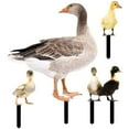 thumbnail image 1 of 2Set Lifelike Sturdy Premium Yard Duck Stake Decor for Outdoor Use, 1 of 12