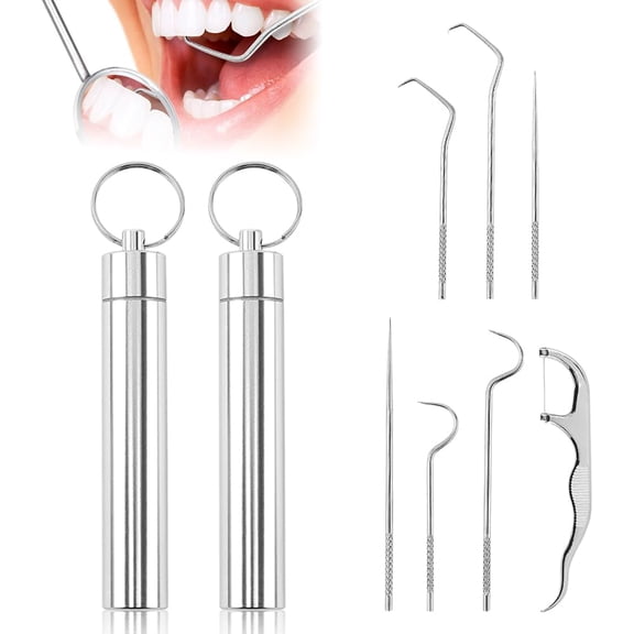 2Set Stainless Steel Toothpick Set, Reusable Metal Toothpicks Cleaning Kit with Holder, Dental Picks Metal Dental Kit Oral Care Tools Toothpicks Pocket Set for Outdoor Picnic Camping Traveling(wwx)