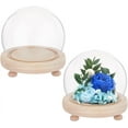 thumbnail image 1 of 2Sets Round Glass Display Dome Mini Glass Cloche Dome Clear Glass Display Dome Cover with Wood Base 3.94" in Diameter Jar Cloche for Plant Flower Aquarium Christmas Party Office Home Decor, 1 of 7