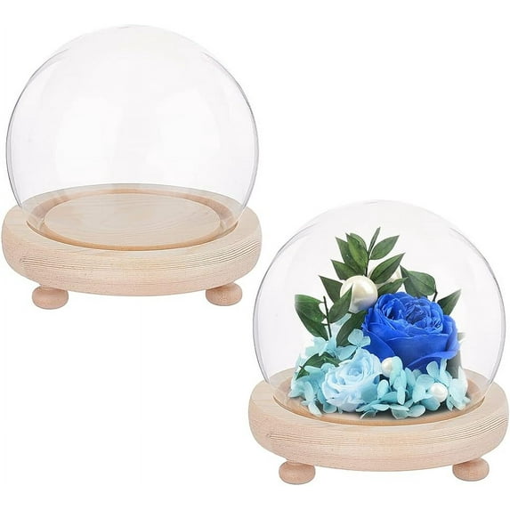 2Sets Round Glass Display Dome Mini Glass Cloche Dome Clear Glass Display Dome Cover with Wood Base 3.94" in Diameter Jar Cloche for Plant Flower Aquarium Christmas Party Office Home Decor