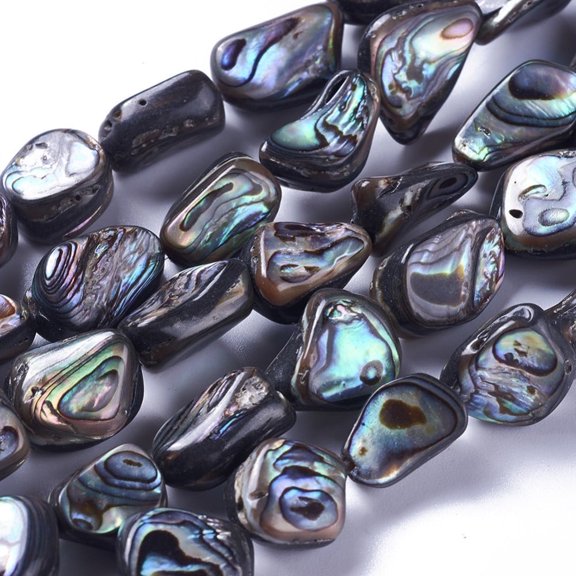 2Strand Natural Abalone Shell/Paua Shell Beads Strands Nuggets 10~19x9~14x5~8mm Hole: 1mm 28~30pcs/strand 15.7~15.9 inch(40~40.5cm)