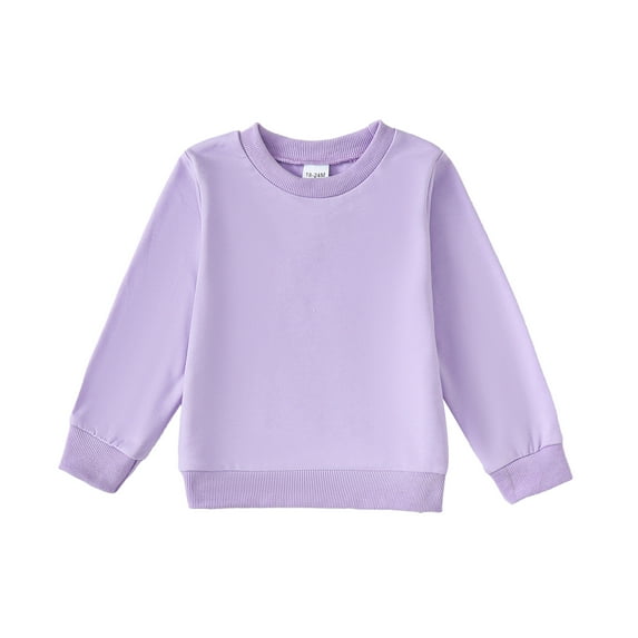 2T Baby Girls Clothes 3T Girls Tops Solid Color Round Neck Toddler Girls Long Sleeve T-shirts Purple