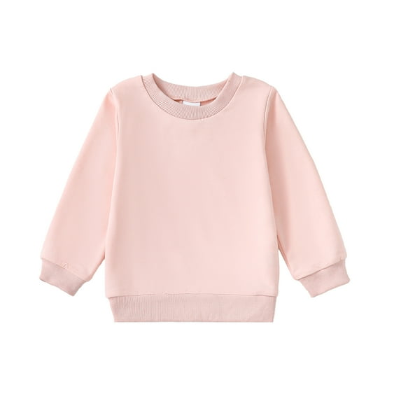 2T Toddler Baby Girls Clothes Baby Girls T-shirt Tops Long Sleeve Round Neckline Solid Color 2-3T Girls Fall Winter T-shirts Tops Pink