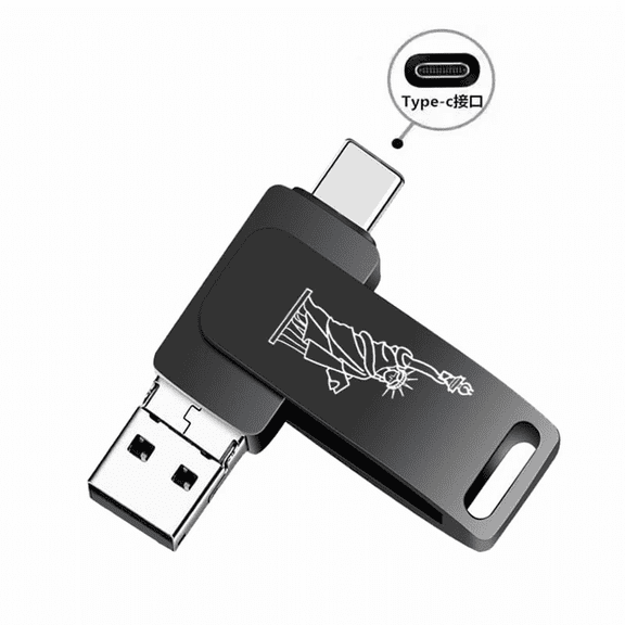 Dual USB Flash Drive 256GB Type C Thumb Drive Memory Drive for Smartphone Tablet Computer Mac