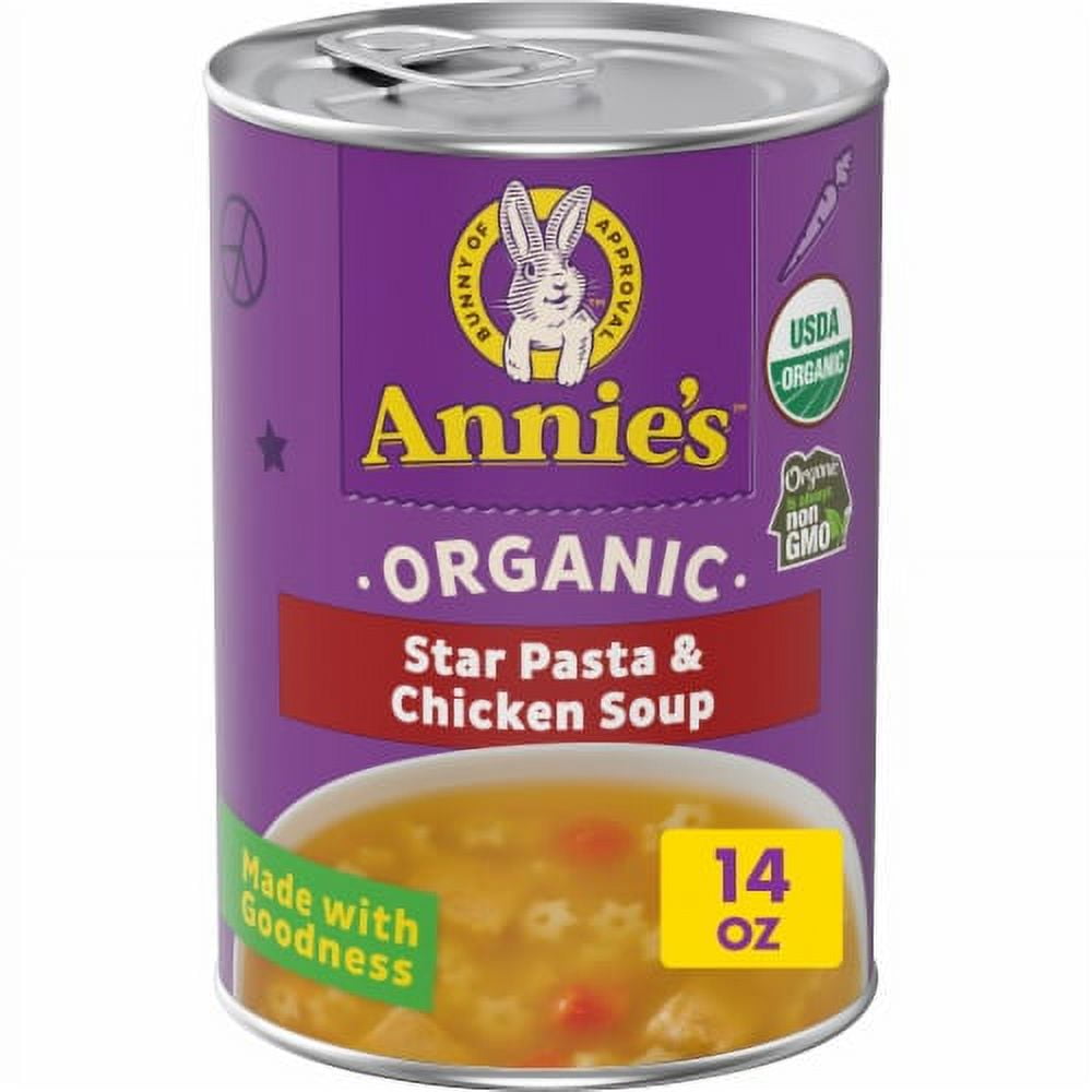2X-Annie's Organic Star Pasta & Chicken Canned Soup - 14 oz