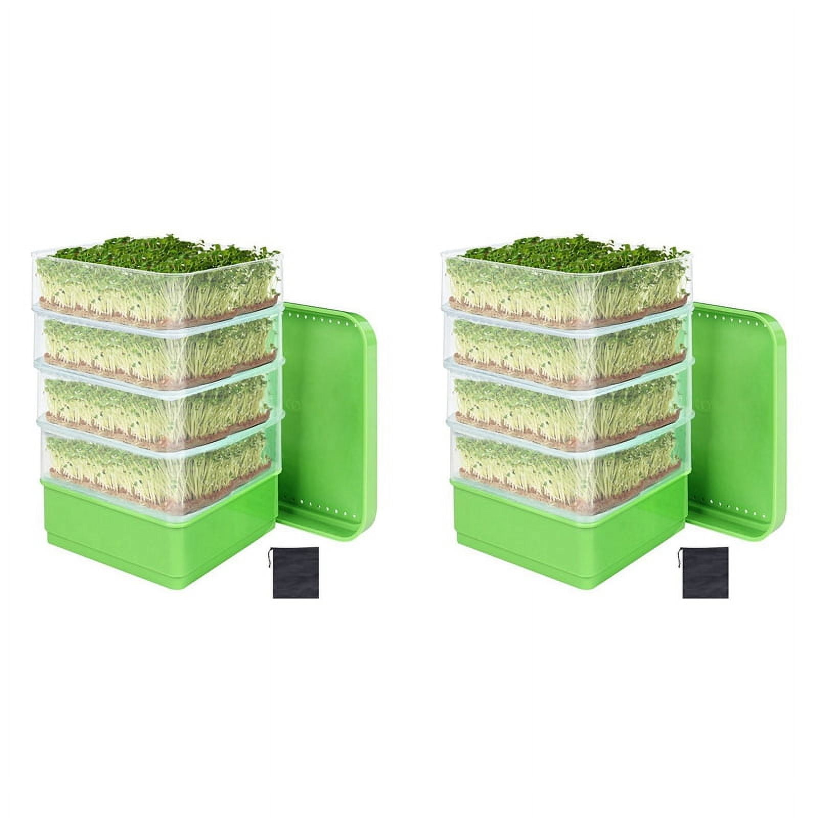 2X Bean Seed Germination Kit, Micro-Green Plant Growing Tray, Drain ...