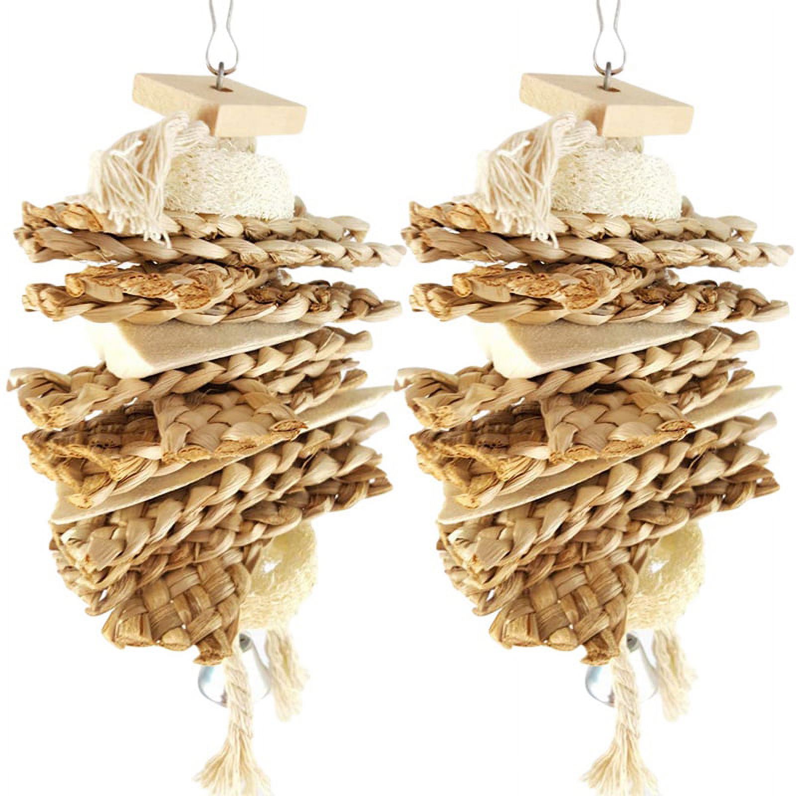 2X Bird Chewing Toys Loofah Cuttlebone Grass Parrot Budgies Cockatoo