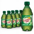 thumbnail image 1 of 2X-Canada Dry Ginger Ale Soda Bottles - 12 fl oz - 8 pk, 1 of 5
