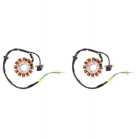 2X Coil 12 Pole Stator DC Coil Ignition Stator for GY6 125Cc 150Cc