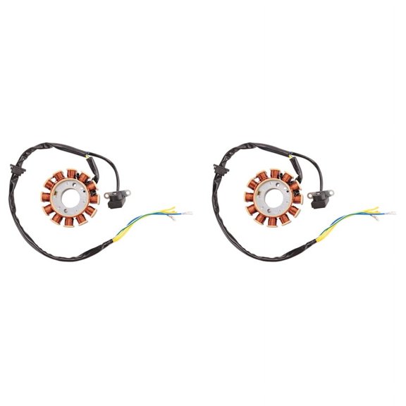 2X Coil 12 Pole Stator DC Ignition for GY6 125Cc 150Cc