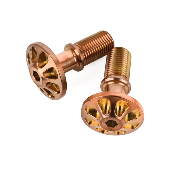 2X ILF Recurve Bow Riser Screw Mounting Limb Thread Screw Shooting Target Sports