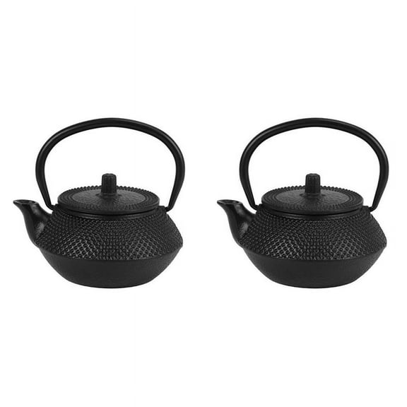 2X Iron Tea Pot with Stainless Steel Infuser Cast Japanese Iron Teapot Oolong Tea Puer Tea Tea Kettle 300ML