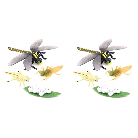 2X Life Cycle of A Dragonfly Insects Life Cycles Growth Model Children Animal Growth Cycle Science Educational Toys