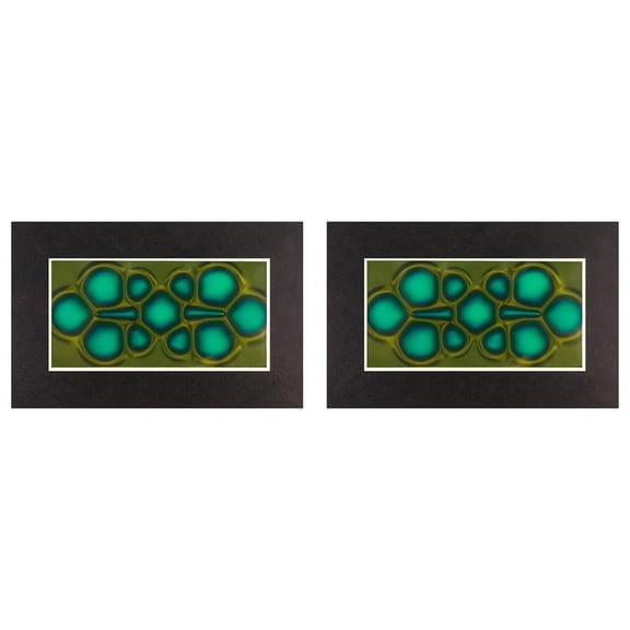 2X Magnetic Viewing Film, 2inchx 4inch Field Viewer for Scientific Projects,Reusable and Automatic Recovery