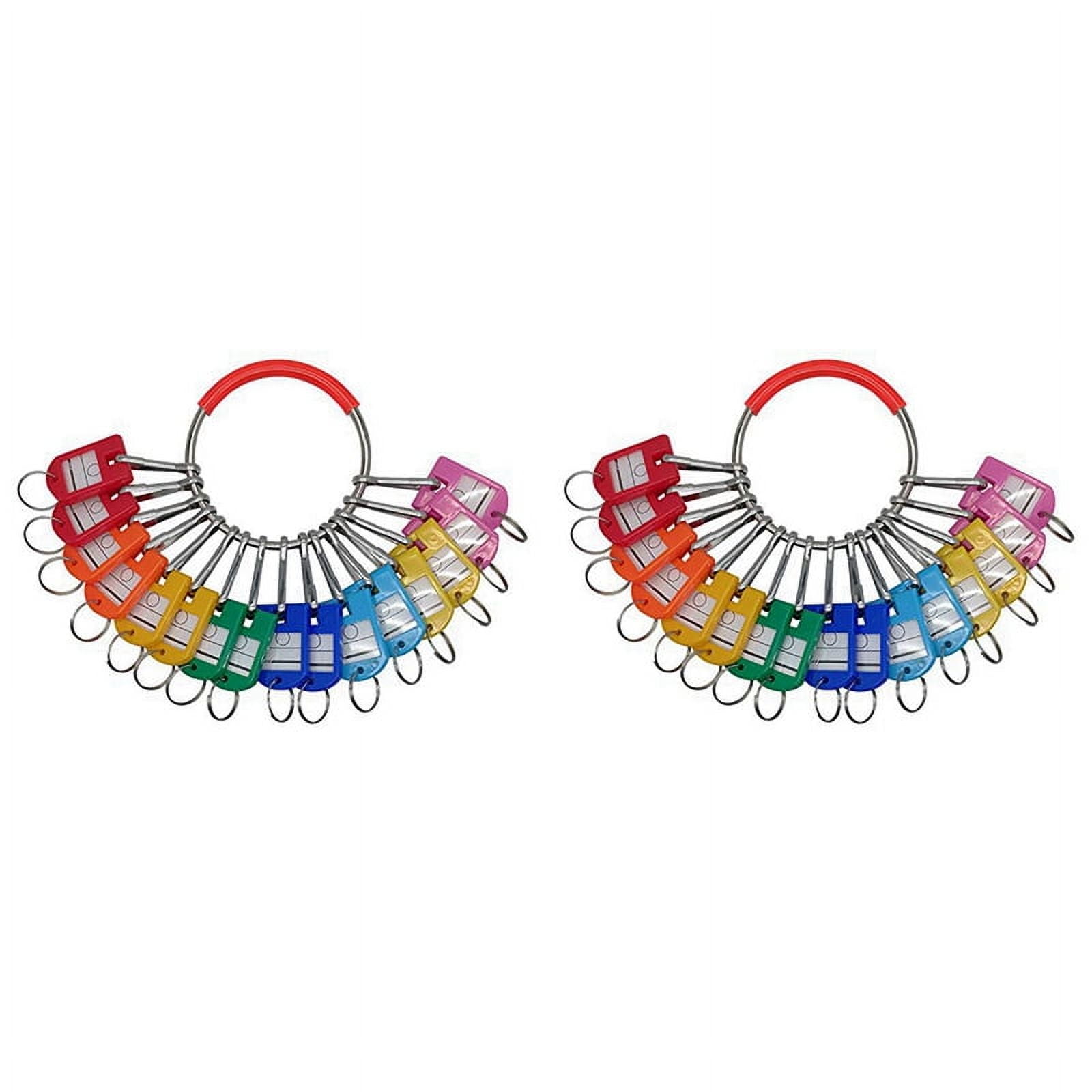 2X Portable Metal Ring Key Organizer with 16 Spring Hooks & Key Tags with Ring and Label Window,2 x Ring Key Organizer,Multicolor