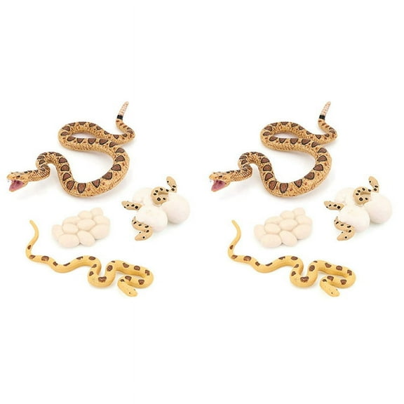 2X Realistic Animal Life Growth Cycle Biological Model Toys Snake Growth Cycle Biological Model Rattlesnake Growth Cycle