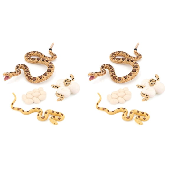 2X Realistic Animal Life Growth Cycle Biological Model Toys Snake Growth Cycle Biological Model Rattlesnake Growth Cycle