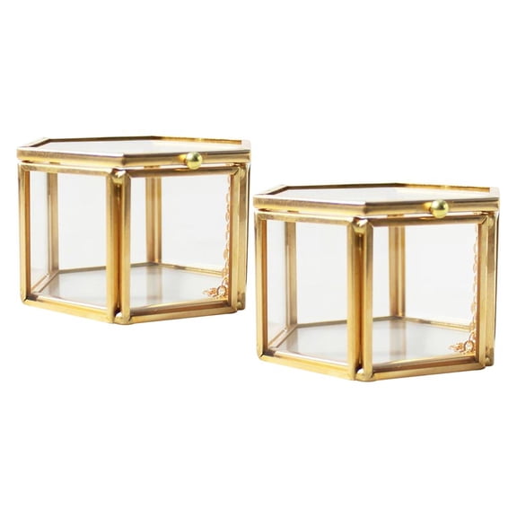 2X Vintage Rectangle Cube Glass Organizer Terrarium with Lock Centerpiece Decor, Window Tabletop Planter Flower Pot for Plants Succulents